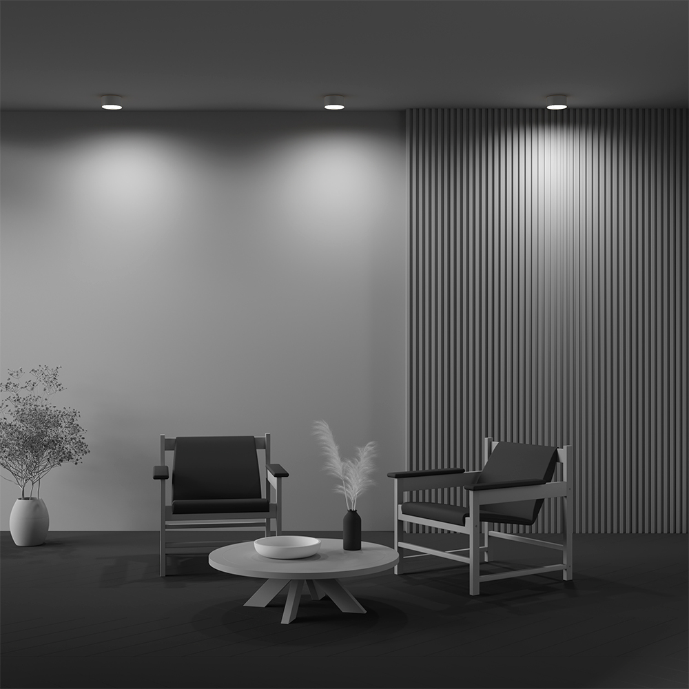 картинка Потолочный светильник Technical C032CL-12W4K-RD-MG от магазина pro-decor.kz