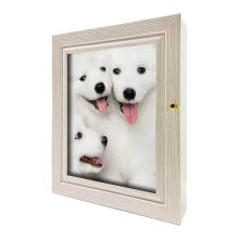 $arSection['PICTURE']['TITLE']