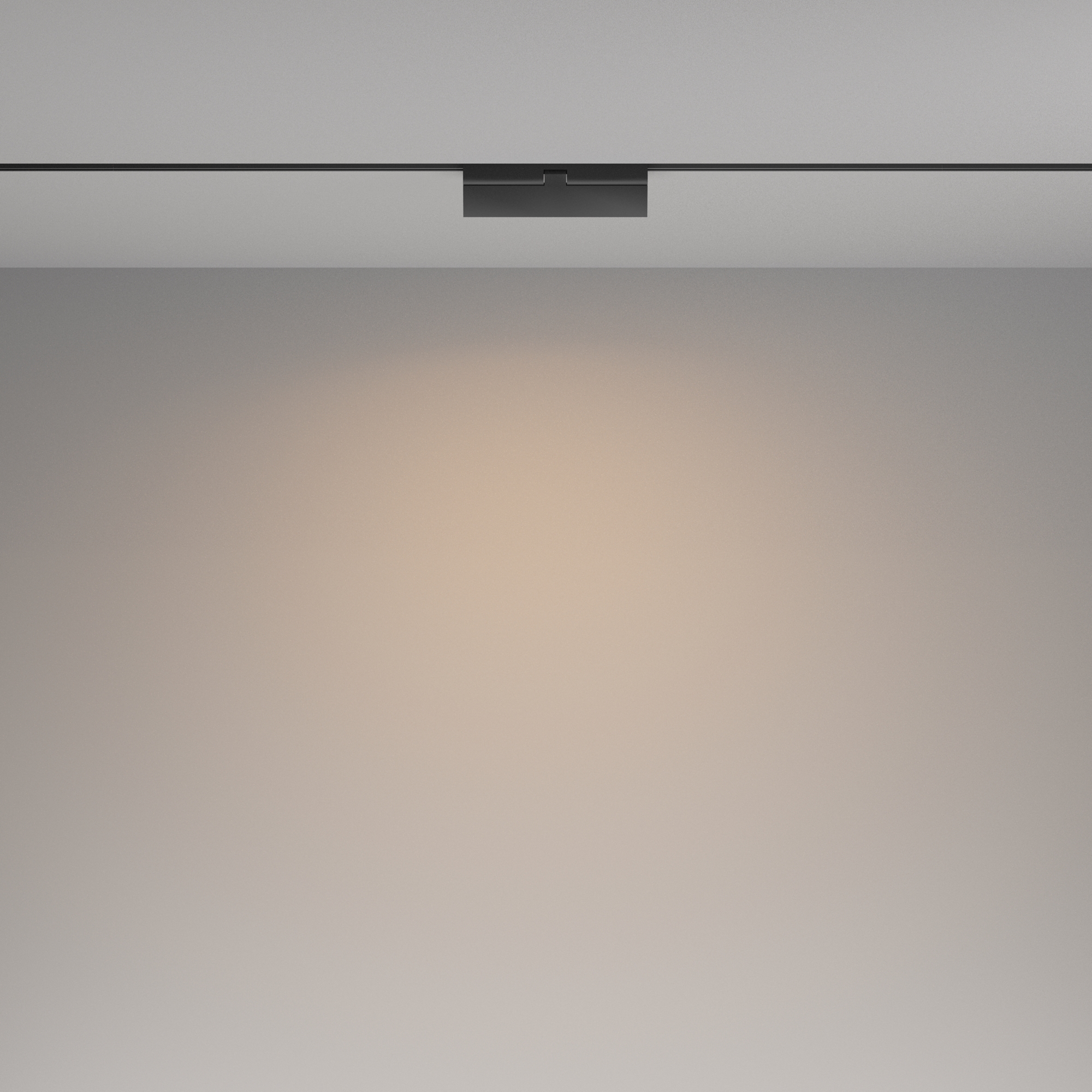 картинка Трековый светильник Technical TR036-2-12W3K-B от магазина pro-decor.kz